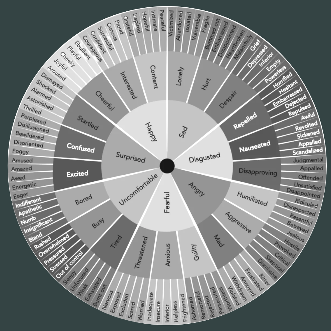 Emotions wheel